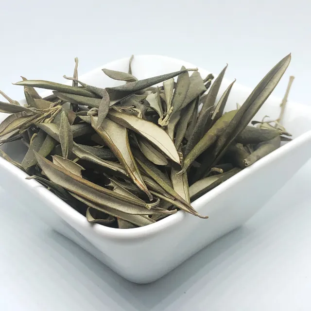 Olive Leaves