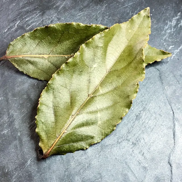 Feuilles de laurier séchées