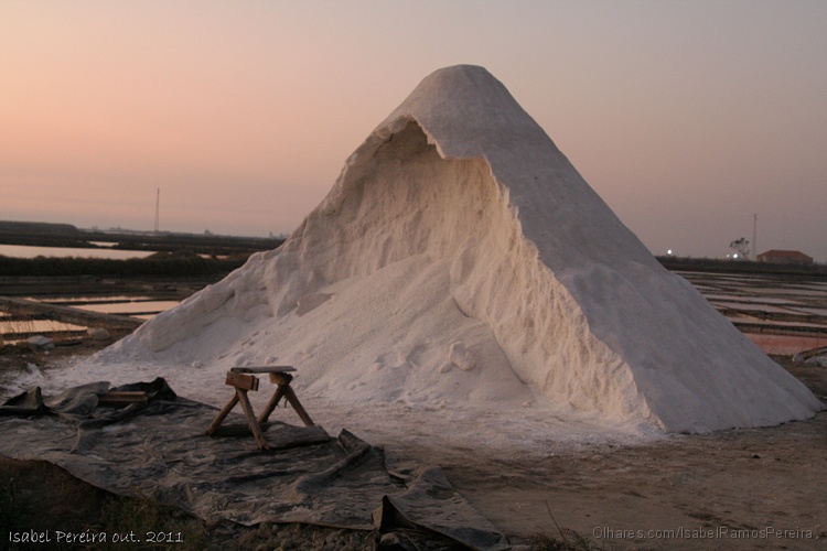 Récolte traditionnelle du sel d’Aveiro