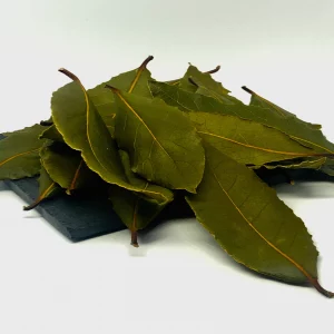 feuilles de laurier-sauce