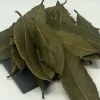 feuilles de laurier sauce